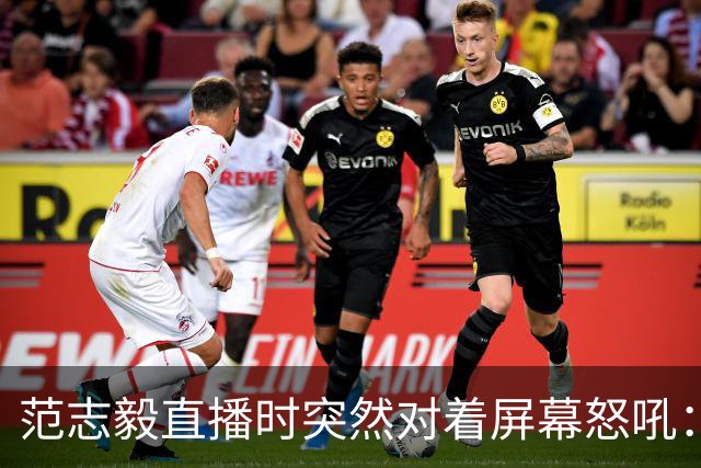 范志毅直播时突然对着屏幕怒吼：你们这帮人懂个球！董路带的这帮12岁孩子，在意大利踢了7场，全胜夺冠，点球干掉英超埃弗顿梯队，创造了亚洲球队的历史。回国后，等来的不是鲜花，而是铺天盖地的“业余炒作”、“博热度”。有人扒出董路九年自掏腰包5800万搞青训，不收钱、不签合同，就带孩子去海外踢90...
